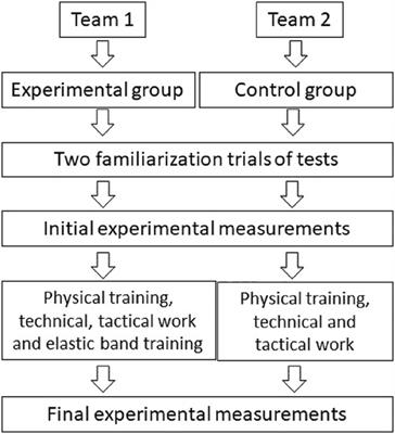 The effects of upper and lower limb elastic band training on the change of direction, jump, power, strength and repeated sprint ability performance in adolescent female handball players